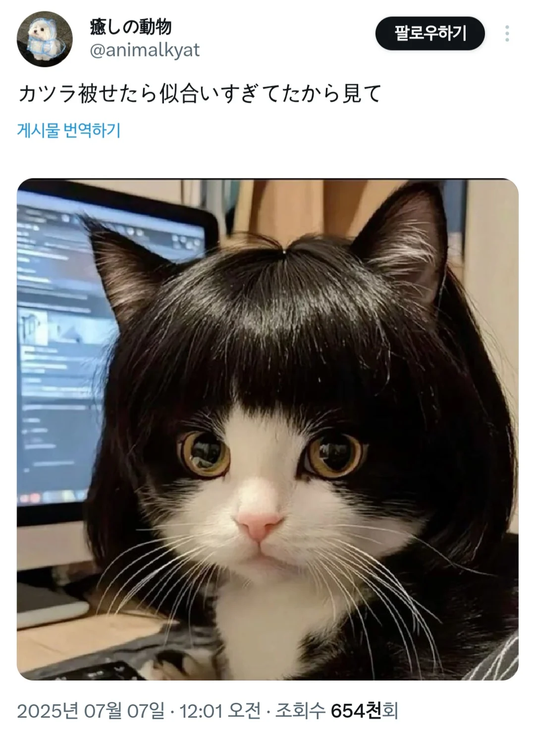 Tkhjwb