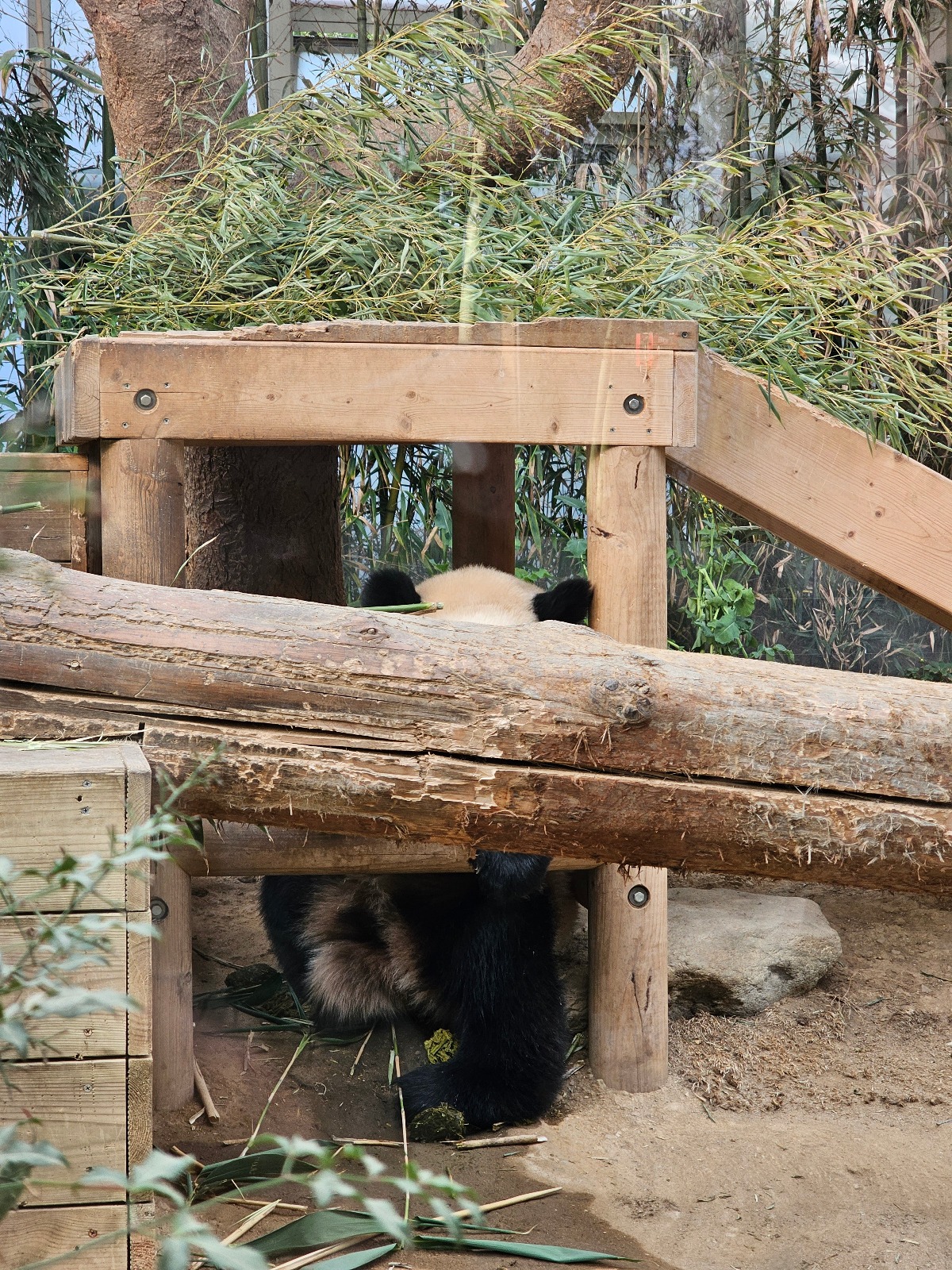 TmHmQL