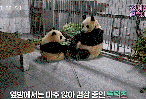 TmKRQI.gif