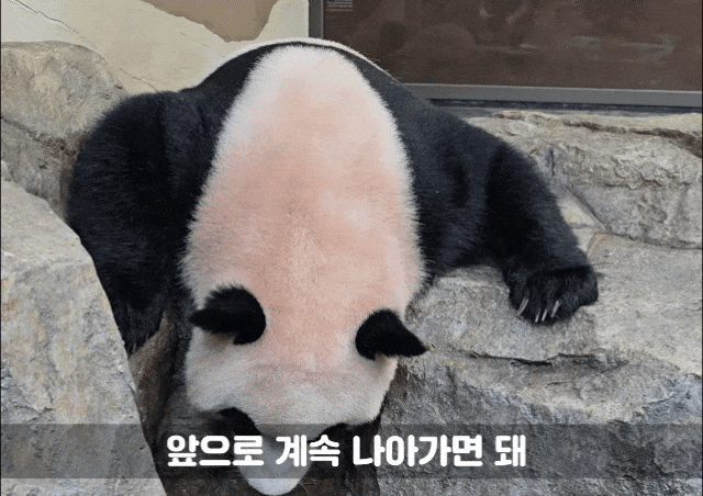 TnNBMA.gif