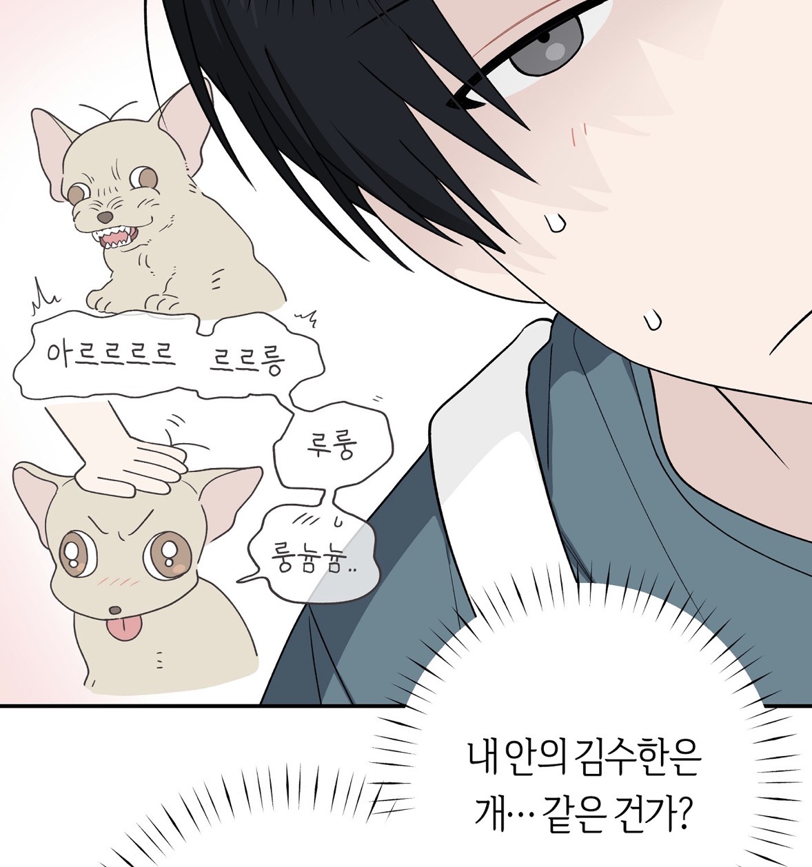ToqhwV