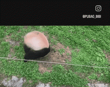 TroUNb.gif