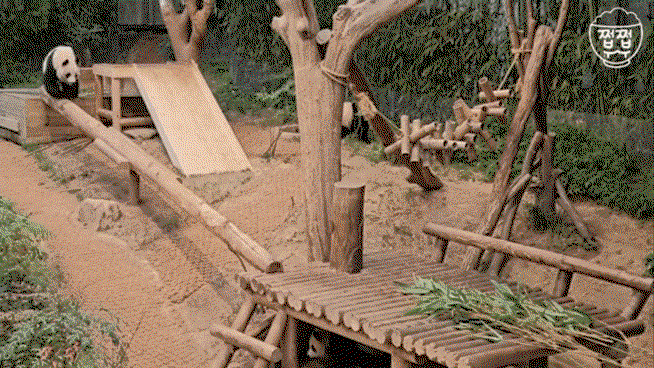 TsEMAb.gif