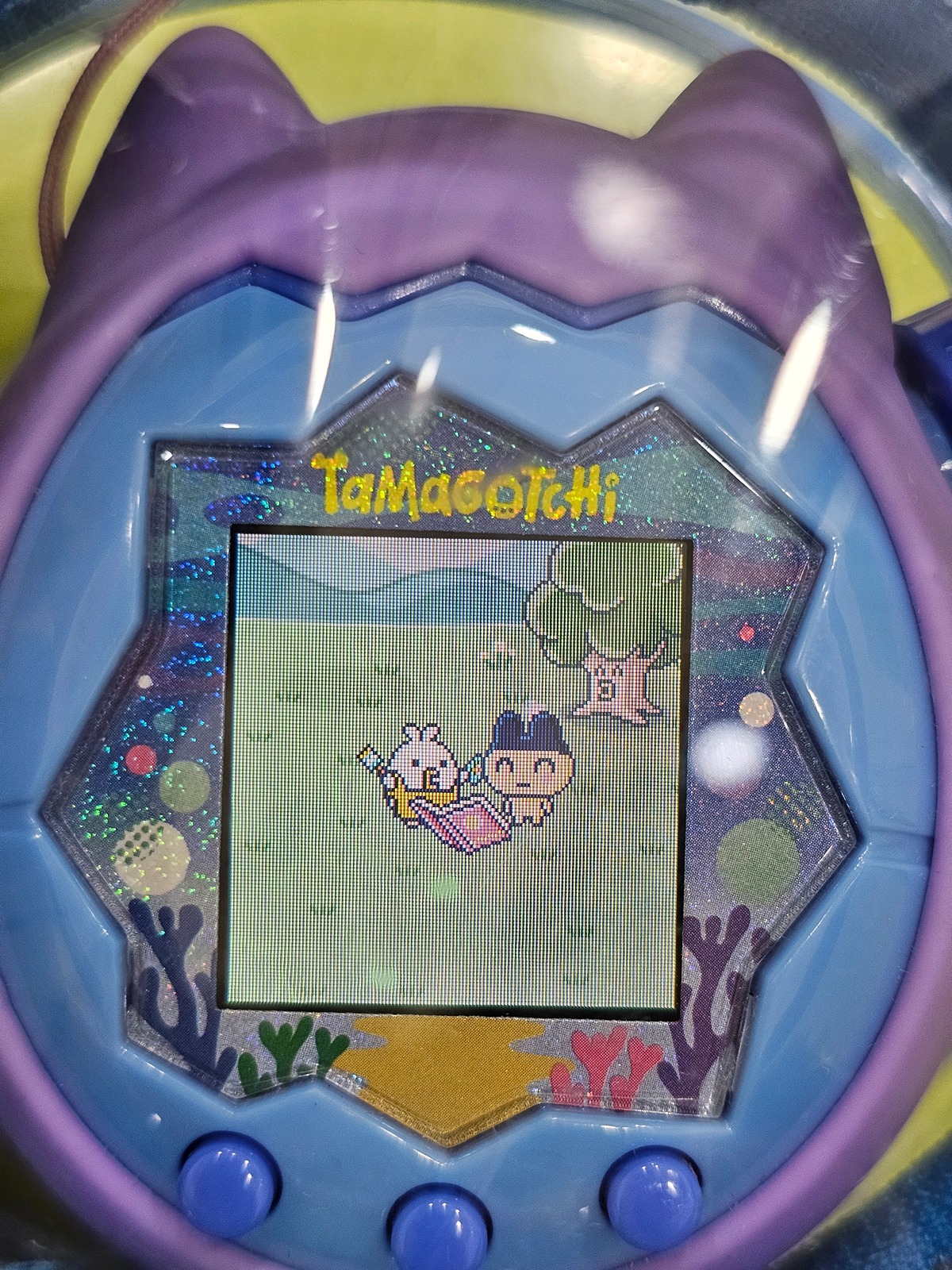 TscCqd