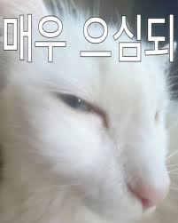 TtamnM