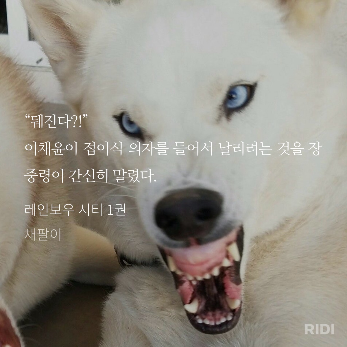 TweCYJ