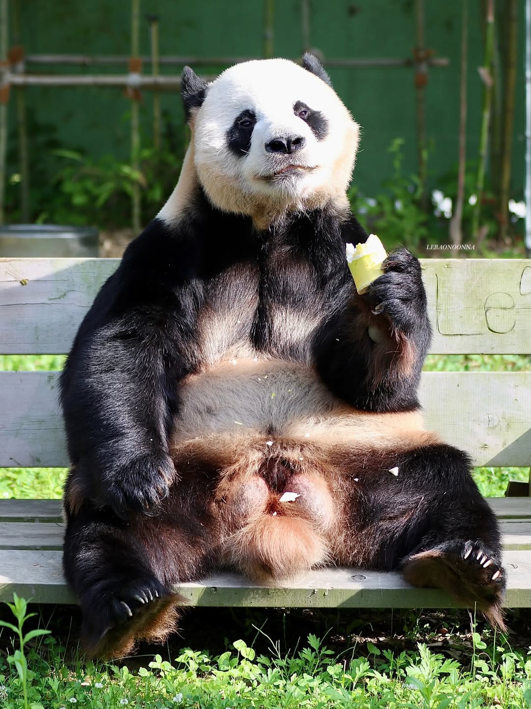 UAXHol