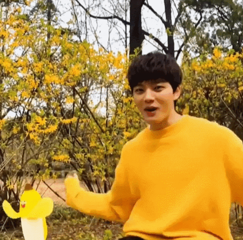 UAaapR.gif