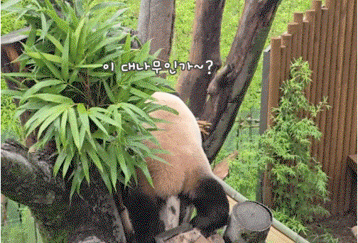 UBJpDA.gif