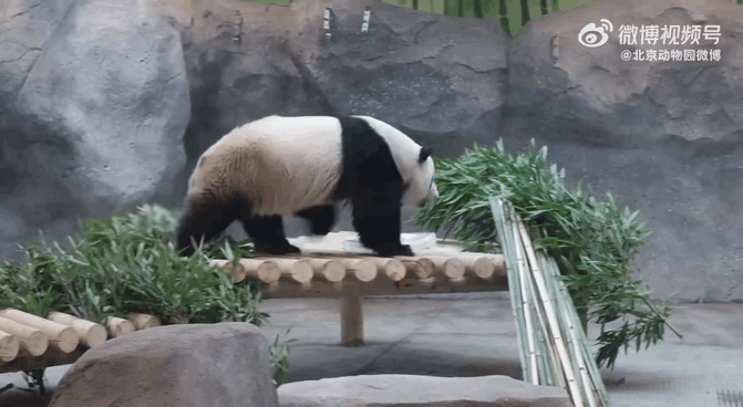 UGpCNC.gif