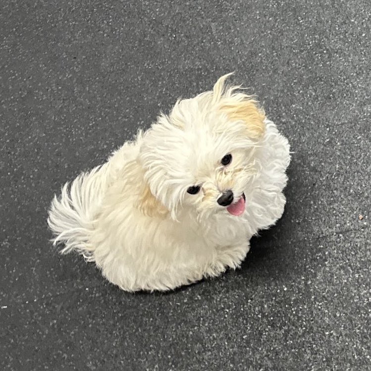 UHsoRk