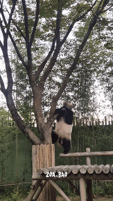 UJRkTa.gif