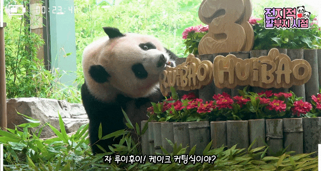 UOWhCV.gif