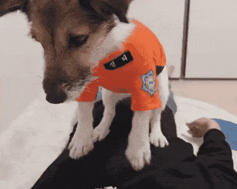 UPmWXj.gif