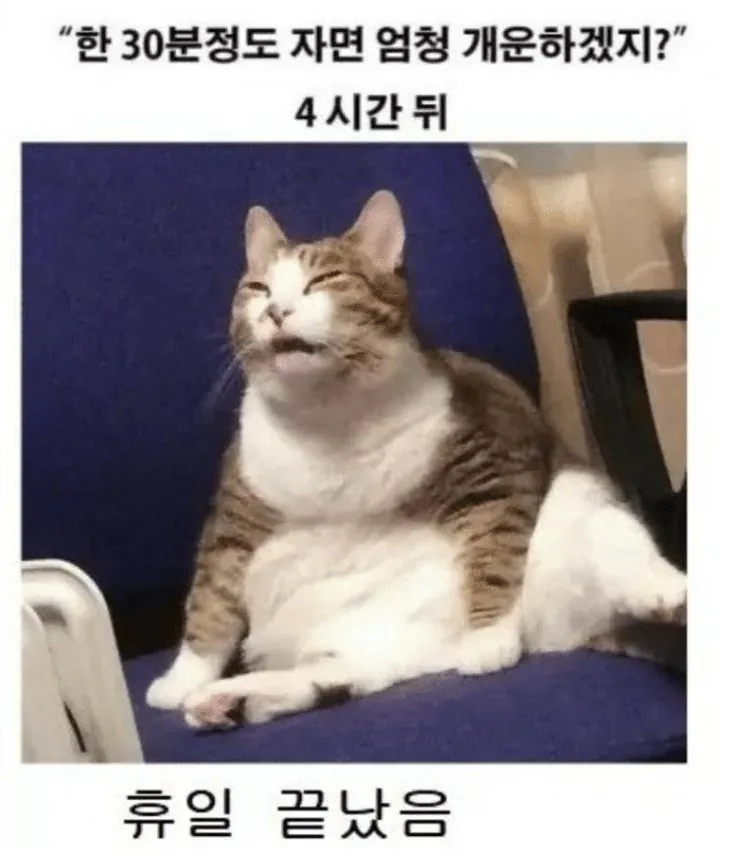 URMRSn