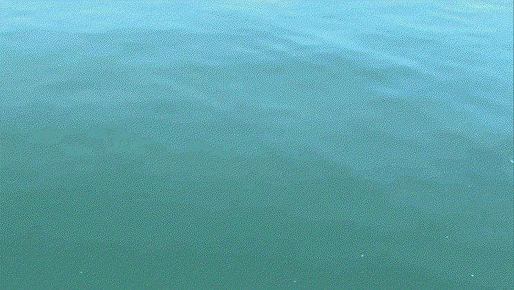 URQncV.gif