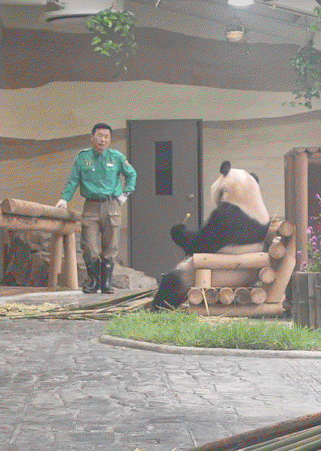 URupGF.gif