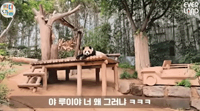 USDHsN.gif