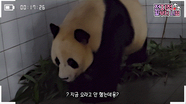 USoIUx.gif