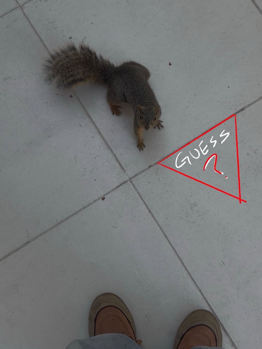 UVRqcC