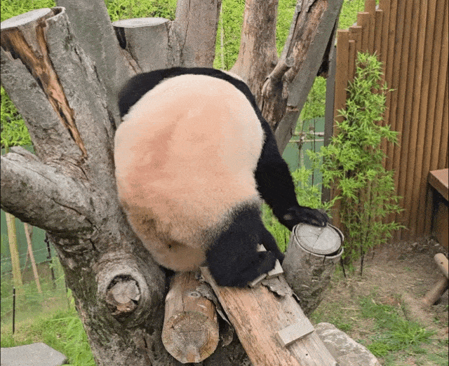 UWLAhV.gif