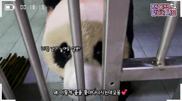 UXbIXJ.gif