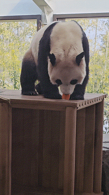 UYiQLW.gif