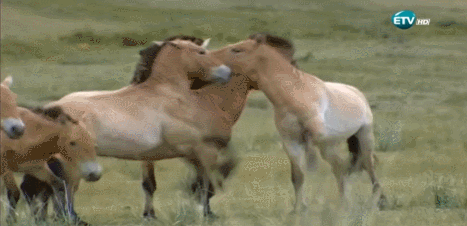UbISmA.gif