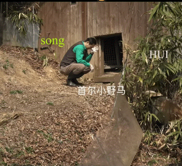 UcJuAf.gif