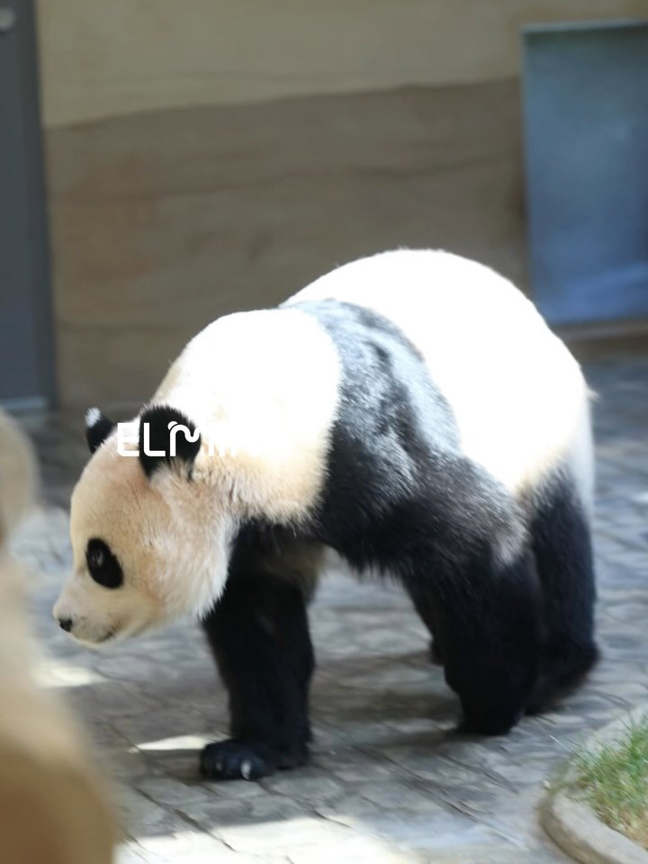 UcPbzd