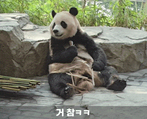 UdaOpj.gif