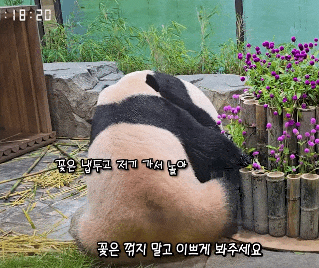 UdeEqu.gif