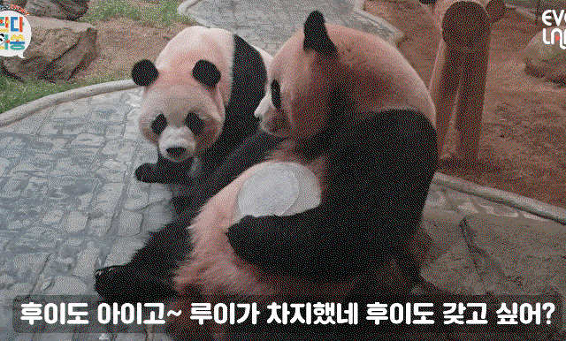 UeFOlE.gif