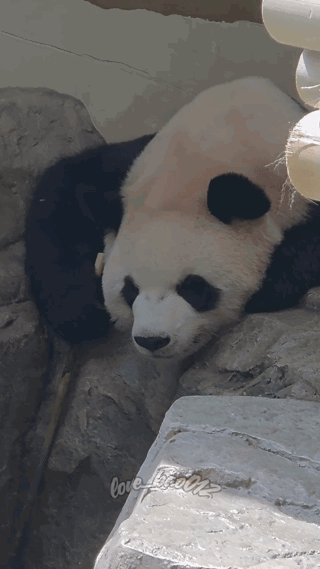 UenQUJ.gif