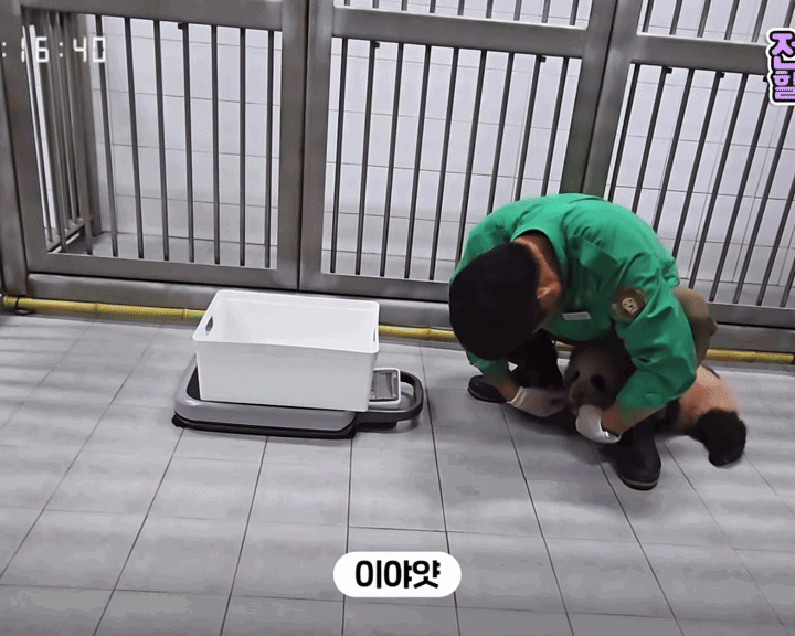 UeqyQM.gif