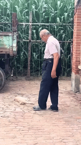 UeyMwe.gif