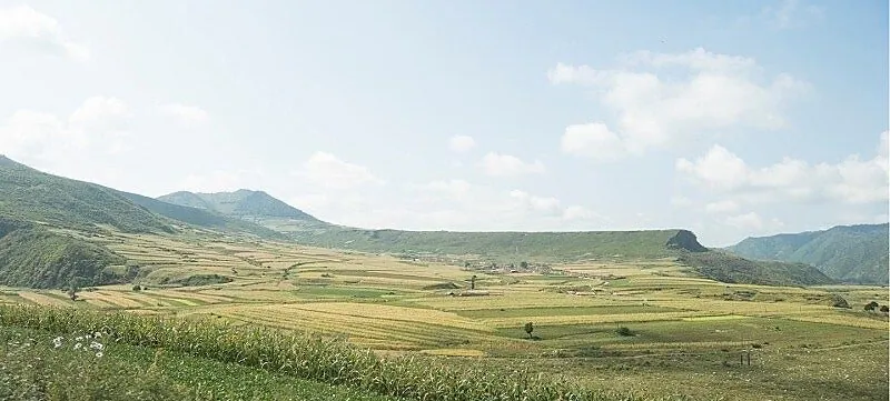 UfJXUI