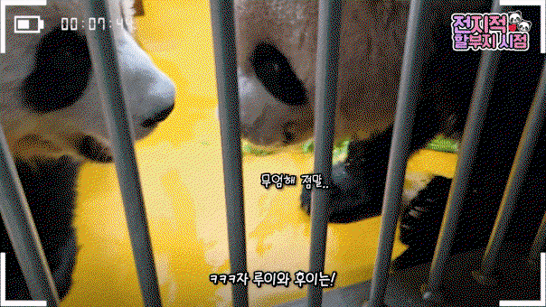 UhOcyB.gif