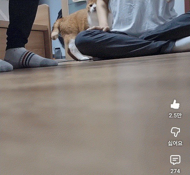 UkiQmF.gif