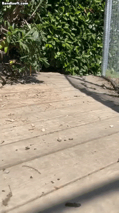 UnTuGp.gif