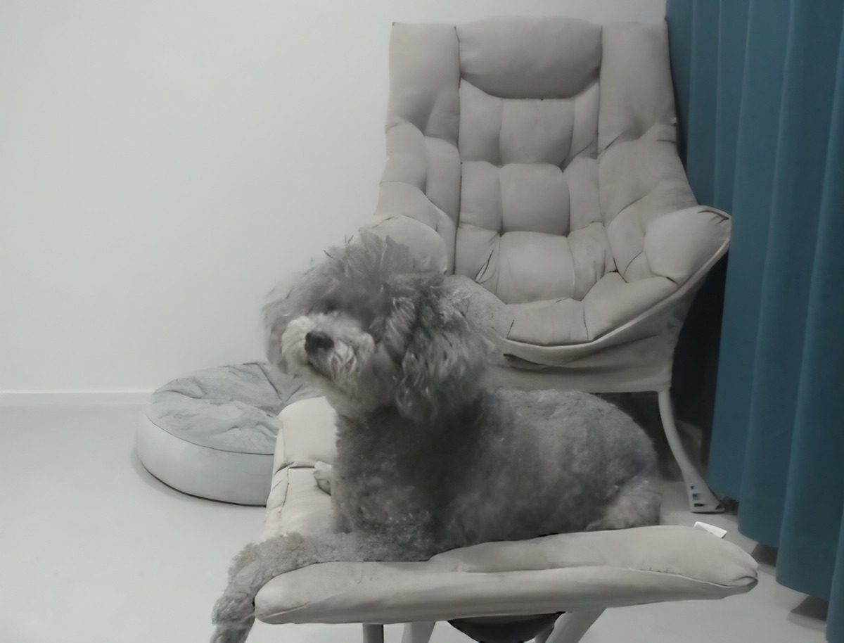 UqPCvR