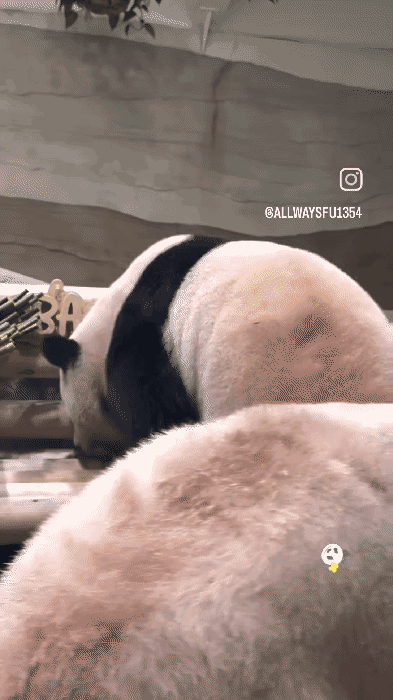 UqTBkY.gif