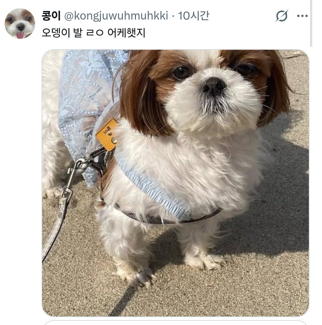 UsWIuM