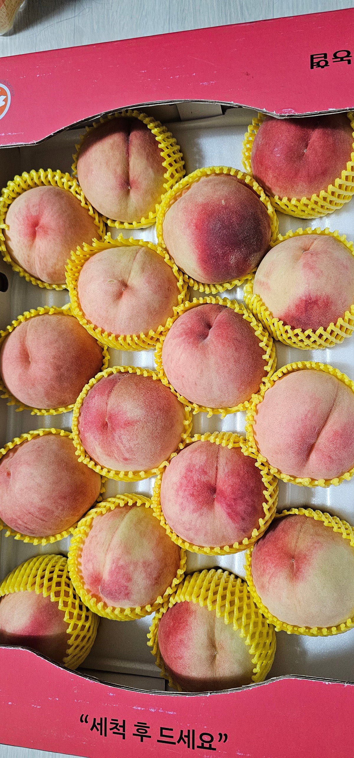 Utpqpb