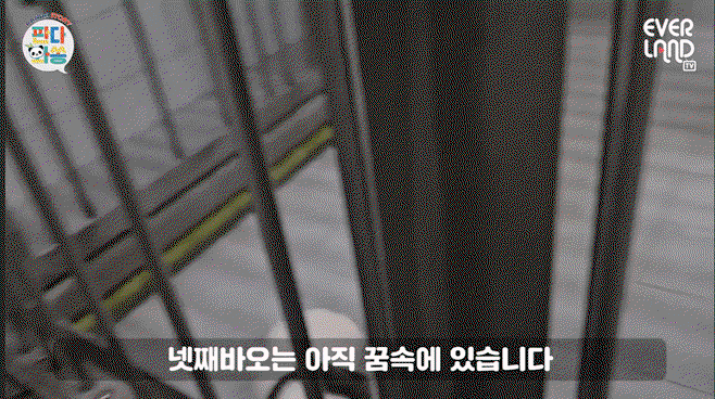 UuQSVA.gif
