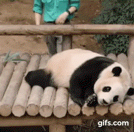 UuutMH.gif