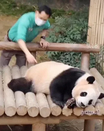 UvLqXD
