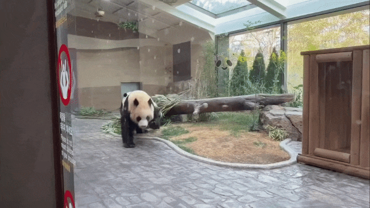 VEHucu.gif