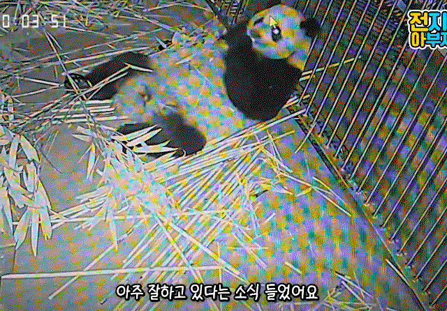 VFPqoI.gif