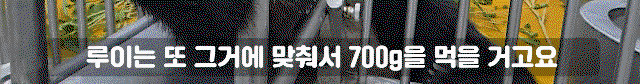 VFuEXu.gif